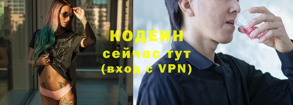 индика Баксан