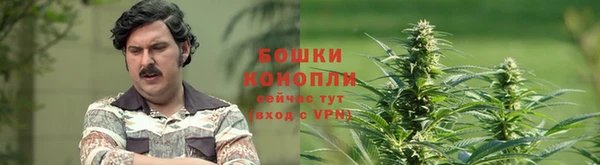 apvp Кукмор