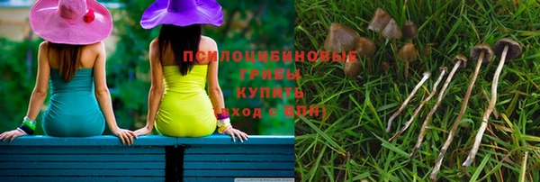 apvp Кукмор